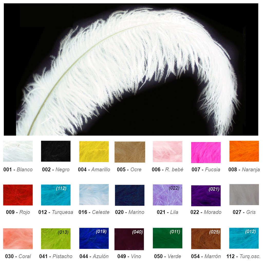 Plumas de avestruz, especial carnaval