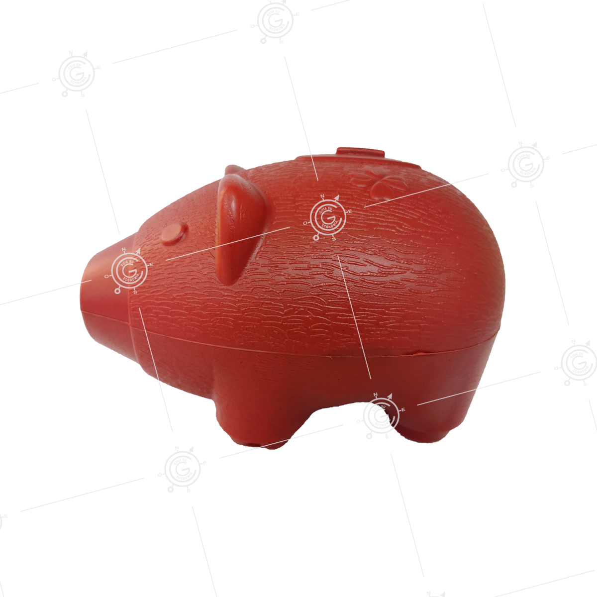 ALCANCIA CHANCHO GRANDE (25)