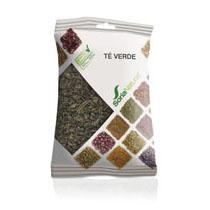 Té verde SN23 – Plantas en bolsa